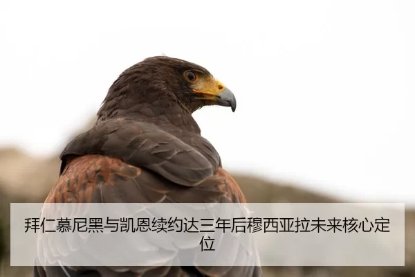 bai-ren-mu-ni-hei-yu-kai-en-xu-yue-da-san-nian-hou-mu-xi-ya-la-wei-lai-he-xin-ding-wei-2-467.jpg